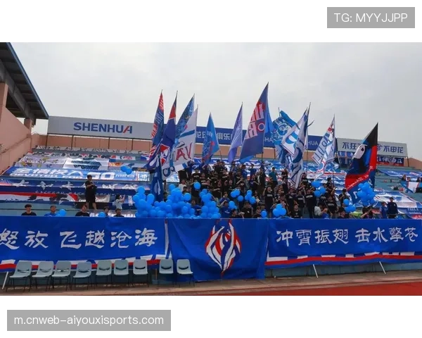 引援决策缺乏长远规划 申花重复囤积外援老路